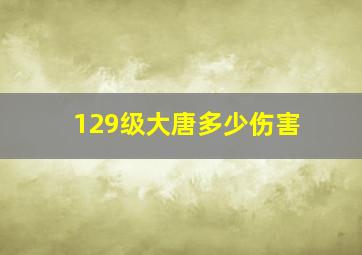 129级大唐多少伤害