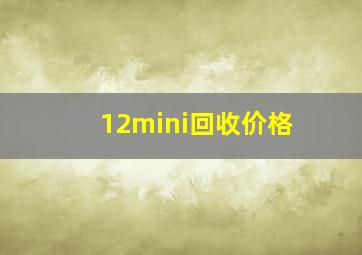 12mini回收价格