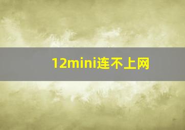 12mini连不上网