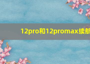 12pro和12promax续航