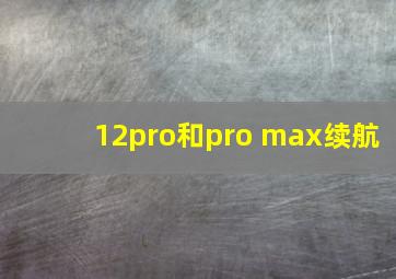 12pro和pro max续航