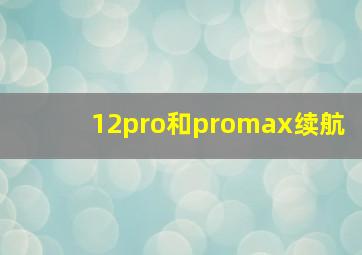 12pro和promax续航