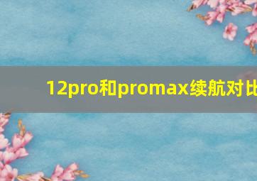 12pro和promax续航对比