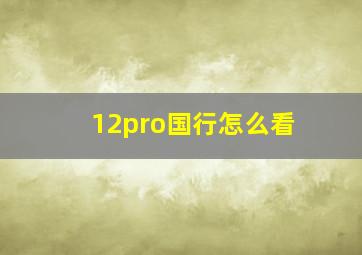 12pro国行怎么看