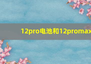 12pro电池和12promax