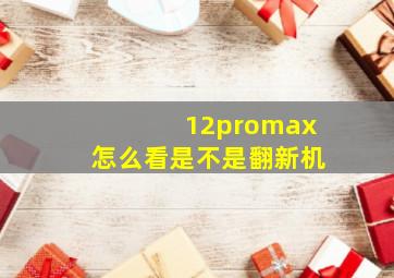 12promax怎么看是不是翻新机