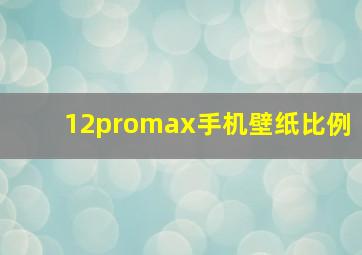 12promax手机壁纸比例