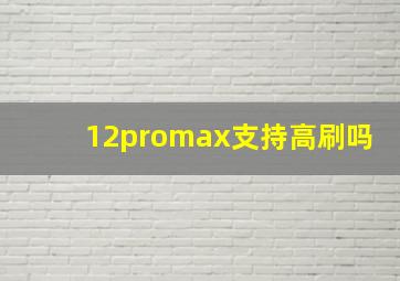 12promax支持高刷吗