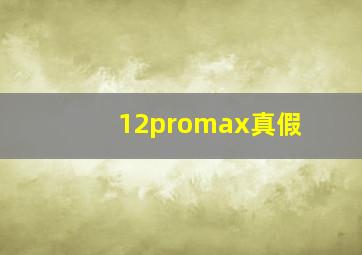 12promax真假