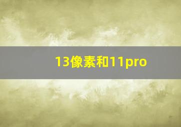 13像素和11pro