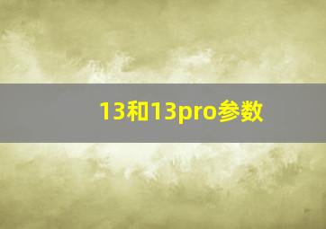 13和13pro参数