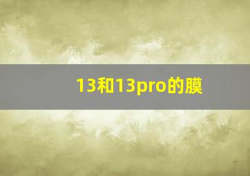 13和13pro的膜