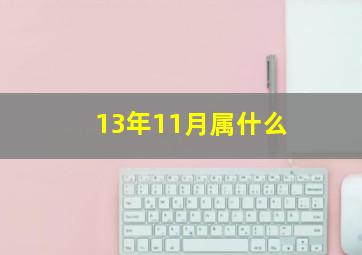 13年11月属什么