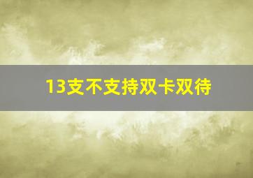 13支不支持双卡双待