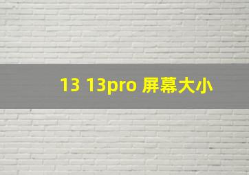 13 13pro 屏幕大小