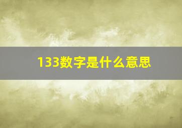 133数字是什么意思