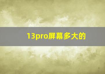 13pro屏幕多大的