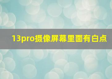 13pro摄像屏幕里面有白点