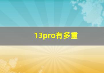 13pro有多重