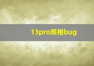 13pro照相bug