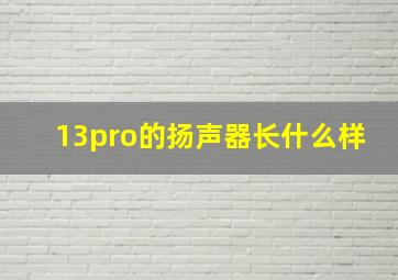 13pro的扬声器长什么样