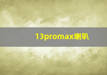 13promax喇叭