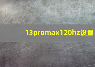 13promax120hz设置