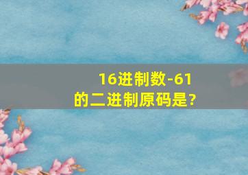 16进制数-61的二进制原码是?