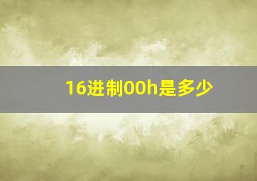 16进制00h是多少