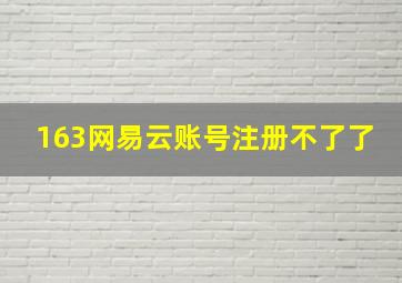 163网易云账号注册不了了