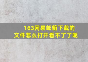 163网易邮箱下载的文件怎么打开看不了了呢