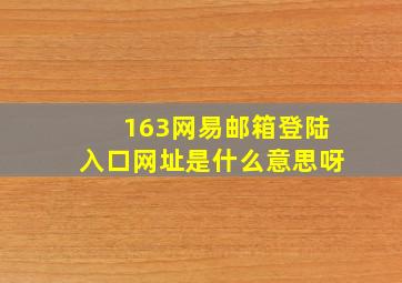 163网易邮箱登陆入口网址是什么意思呀