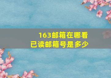 163邮箱在哪看已读邮箱号是多少