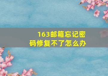 163邮箱忘记密码修复不了怎么办