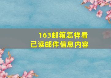 163邮箱怎样看已读邮件信息内容