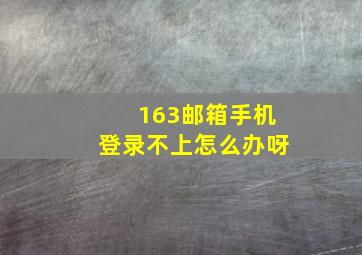 163邮箱手机登录不上怎么办呀