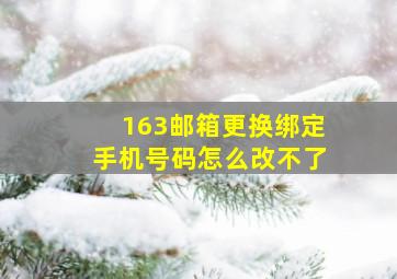 163邮箱更换绑定手机号码怎么改不了