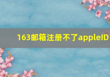 163邮箱注册不了appleID