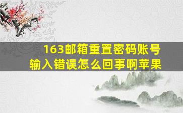 163邮箱重置密码账号输入错误怎么回事啊苹果