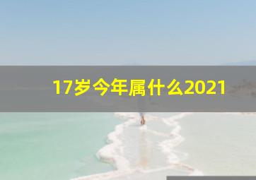 17岁今年属什么2021