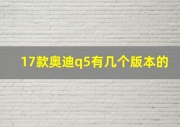 17款奥迪q5有几个版本的