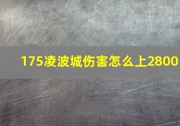 175凌波城伤害怎么上2800