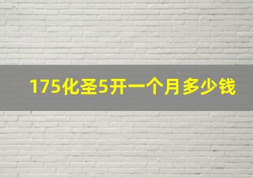 175化圣5开一个月多少钱