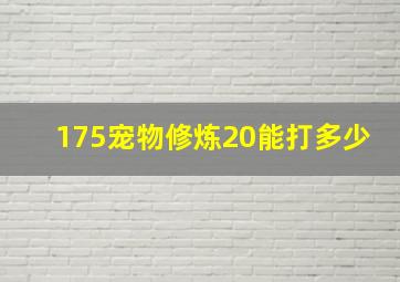 175宠物修炼20能打多少