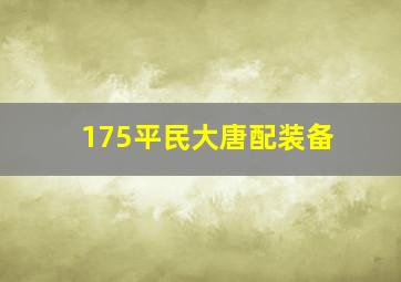 175平民大唐配装备