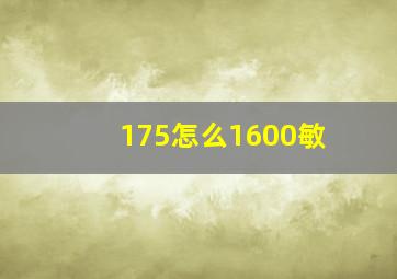 175怎么1600敏