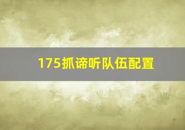 175抓谛听队伍配置