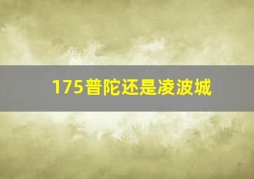 175普陀还是凌波城