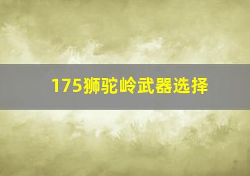 175狮驼岭武器选择