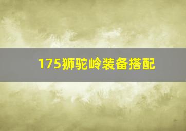 175狮驼岭装备搭配